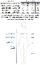 125.webp