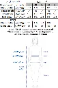 97.webp