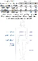 Screenshot 2026-01-17 213023.webp