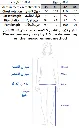 64.webp