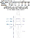 Screenshot 2026-02-07 193226.webp